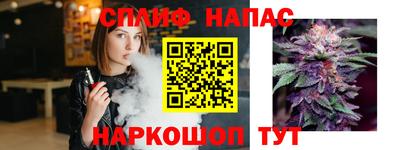 дживик Сланцы