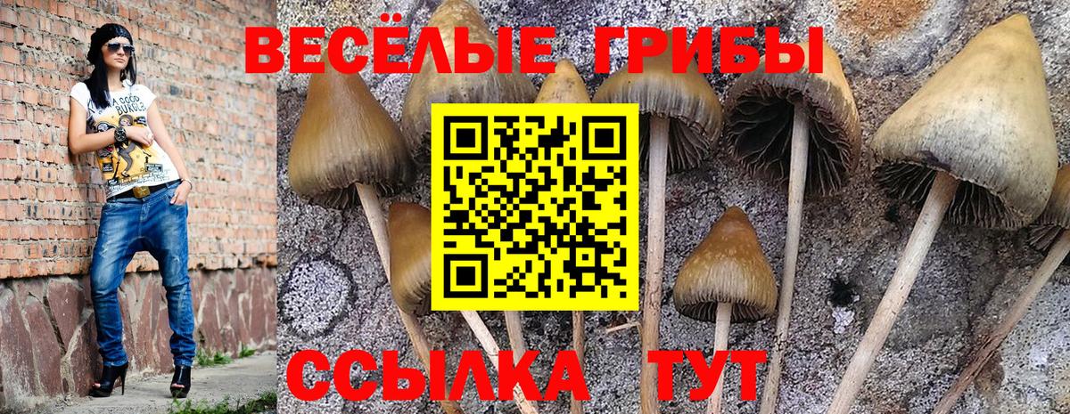Протвино  Псилоцибиновые грибы MAGIC MUSHROOMS  Вход с VPN 